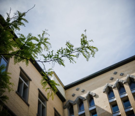 photo de l'école Externat Sacré-Cœur